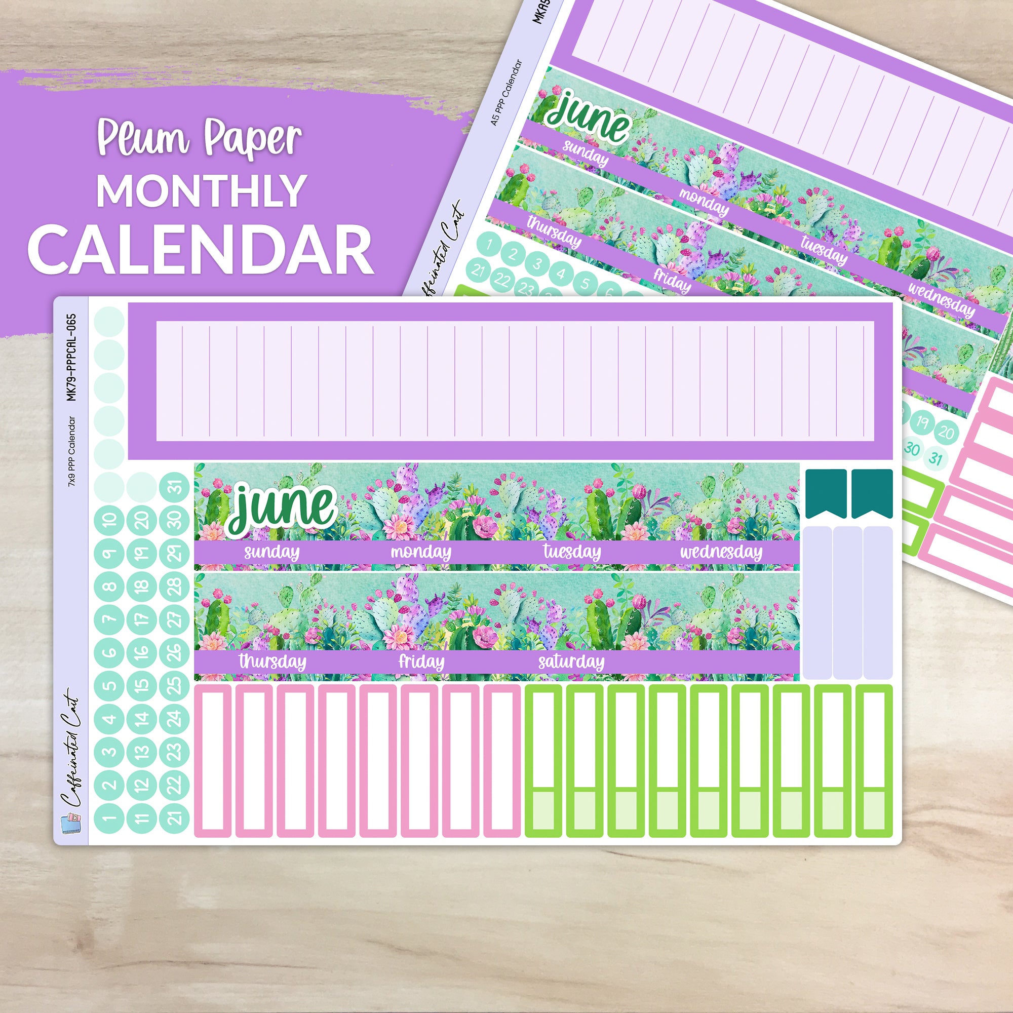 Calendar Kit for PLUM PAPER Planners - Colorful Cacti [ 065 ]