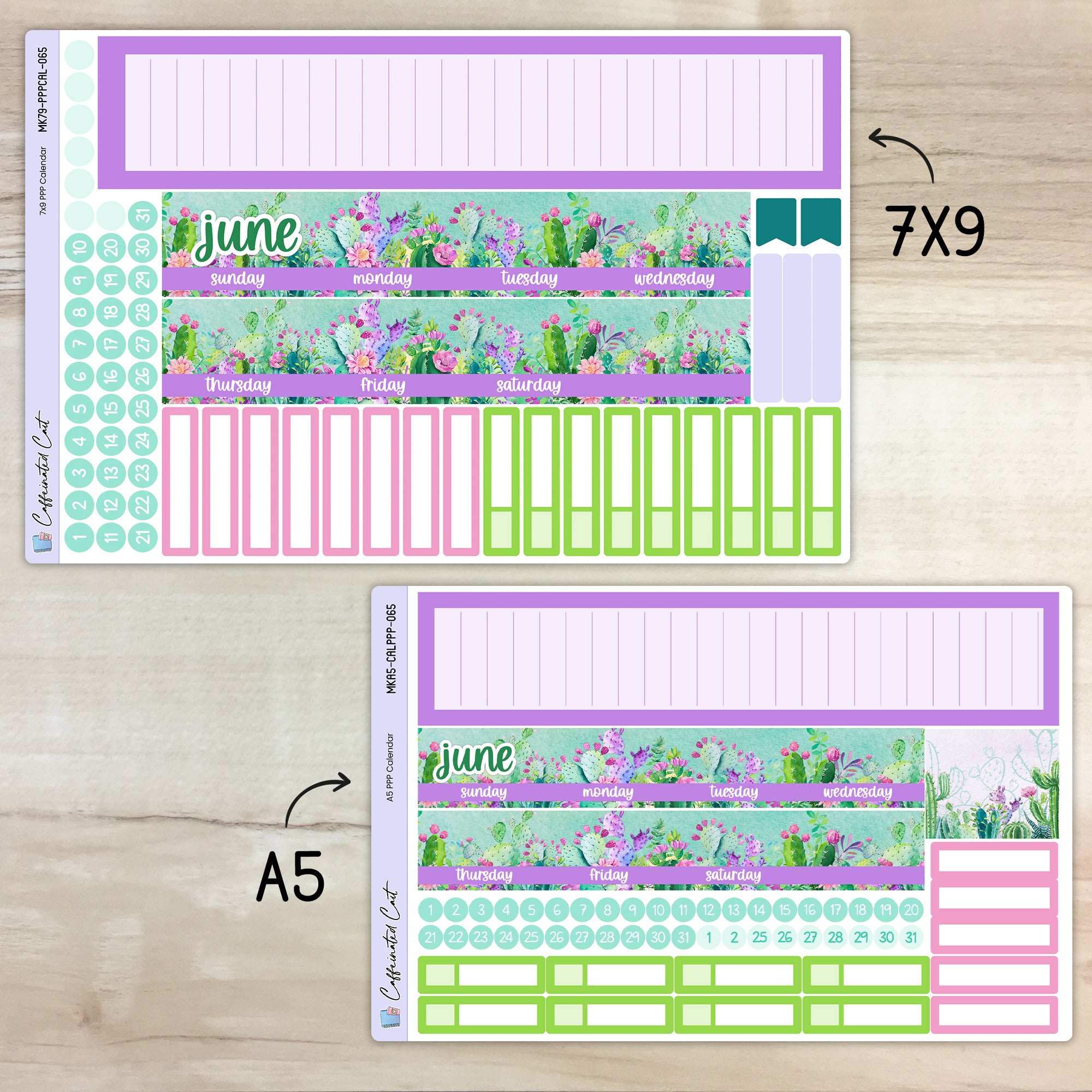 Calendar Kit for PLUM PAPER Planners - Colorful Cacti [ 065 ]