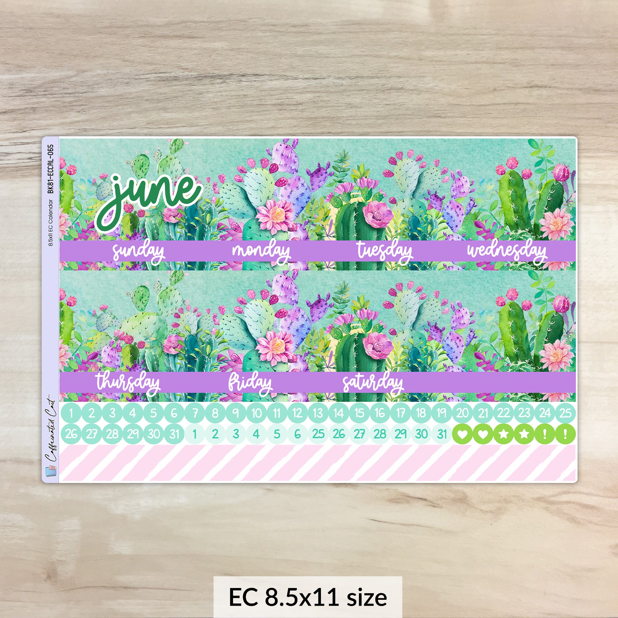 Calendar Kit for ERIN CONDREN Planners - Colorful Cacti [ 065 ]