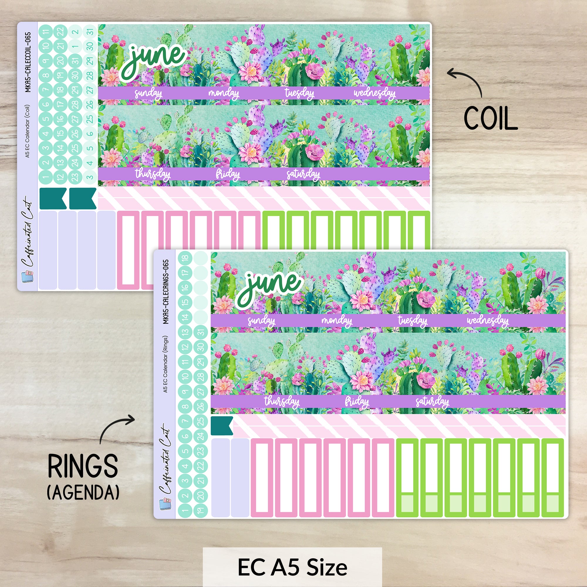 Calendar Kit for ERIN CONDREN Planners - Colorful Cacti [ 065 ]