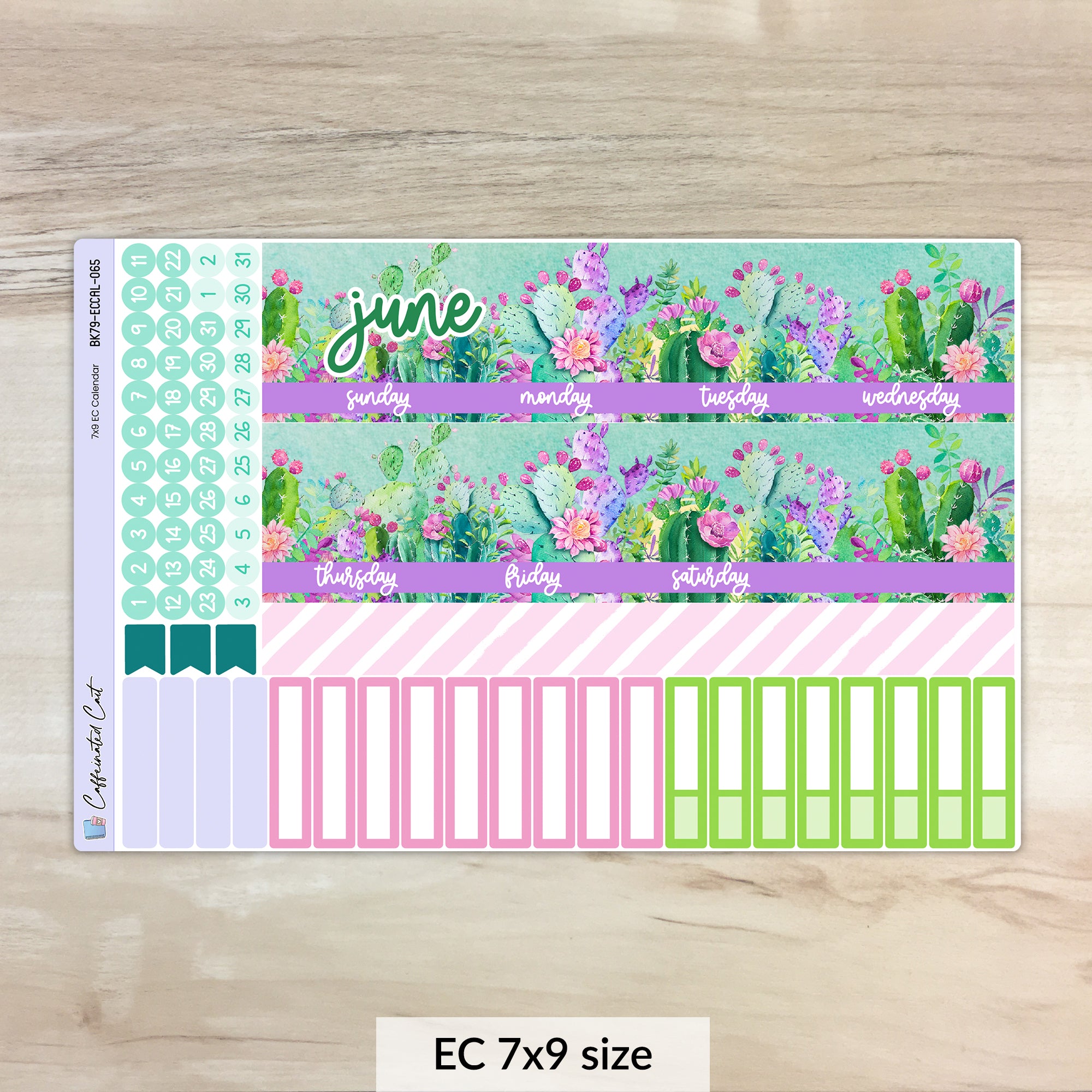 Calendar Kit for ERIN CONDREN Planners - Colorful Cacti [ 065 ]