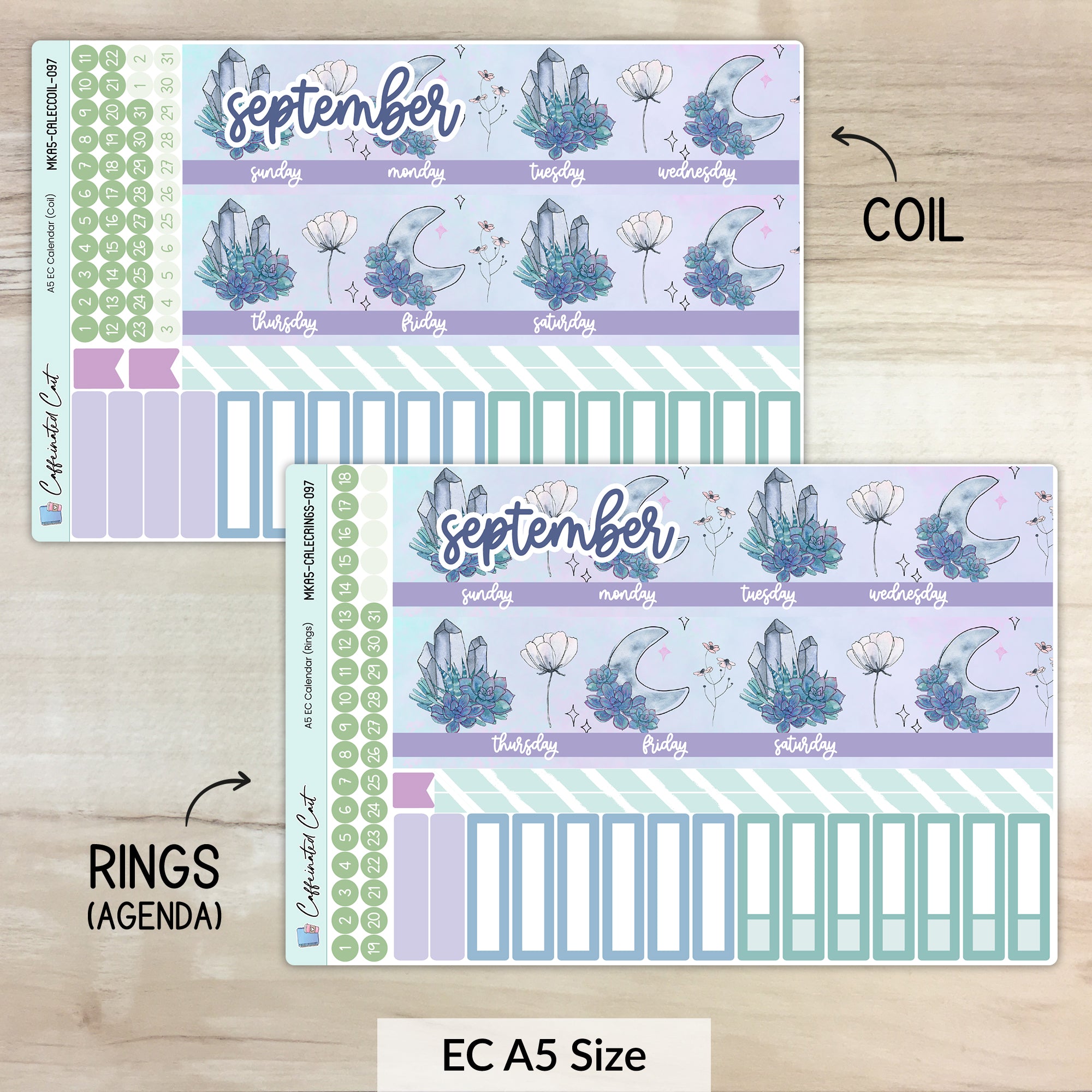 Calendar Kit for ERIN CONDREN Planners - Moonlit Succulent [ 097 ]